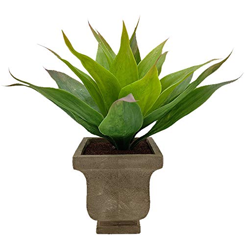Aisamco Aramco künstliche saftige gefälschte Aloe für Badezimmer Home Office Dekor künstliche saftige Pflanze mit grauem Pflanzgefäß künstliche Topfpflanze 29 cm groß für Hausdekoration von Aisamco
