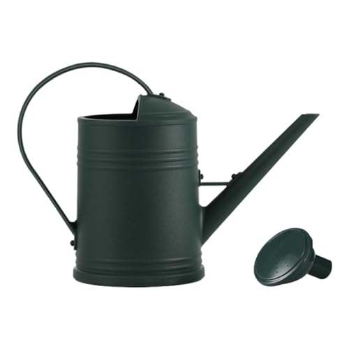 Aizuoni Gießkanne 2 Liter, Gießkanne Zimmerpflanzen, Kleine Gießkanne Mit Brause, Gießkanne Für Den Innenbereich, Garten Gießkanne, Blumenbewässerungseimer, Wassertopf Mit Langem Auslauf von Aizuoni