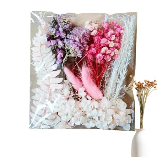 Alwida Trockenblumen für Vase | Blumenstrauß Bulk DIY Kit - Natürliche getrocknete Blumenblätter für Scrapbooking, Fotorahmen, Kunsthandwerk, Kerzenherstellung von Alwida