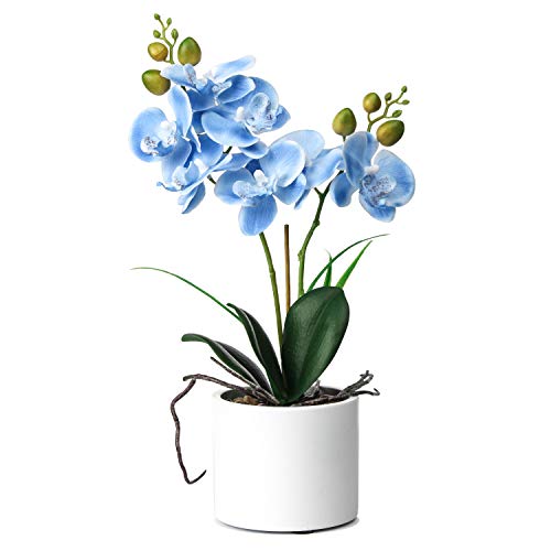 Alyphyly Künstliche Blumen Bonsai mit Vase Vivid Orchid Flower Arrangement Phalaenopsis Blumen Topf für Home Office Decor Tisch Tischdekoration Home Decor von Alyphyly