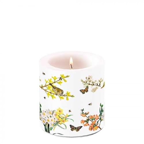 Ambiente Kerze Stumpenkerze Wachswindlicht 9 cm hoch Brenndauer ca 35h Frühlingserwachen Blumen Vögel Frühling Dekorationskerze Serie spring awakening von Ambiente