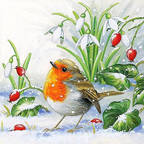 Ambiente - Servietten - Robin - Winter / Vogel / Schnee von Ambiente