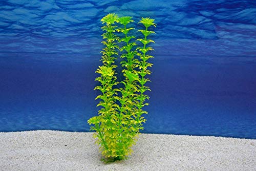 Amtra Cabomba L 29cm künstliche Pflanze Dekoration Aquarium von Amtra