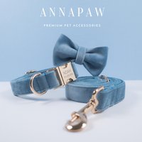 Personalisiertes Hundehalsband Und Leine-Set, Staubiges Blaues Welpenhalsband Mit Eingraviertem Namen Auf Der Schnalle von AnnaPawCo