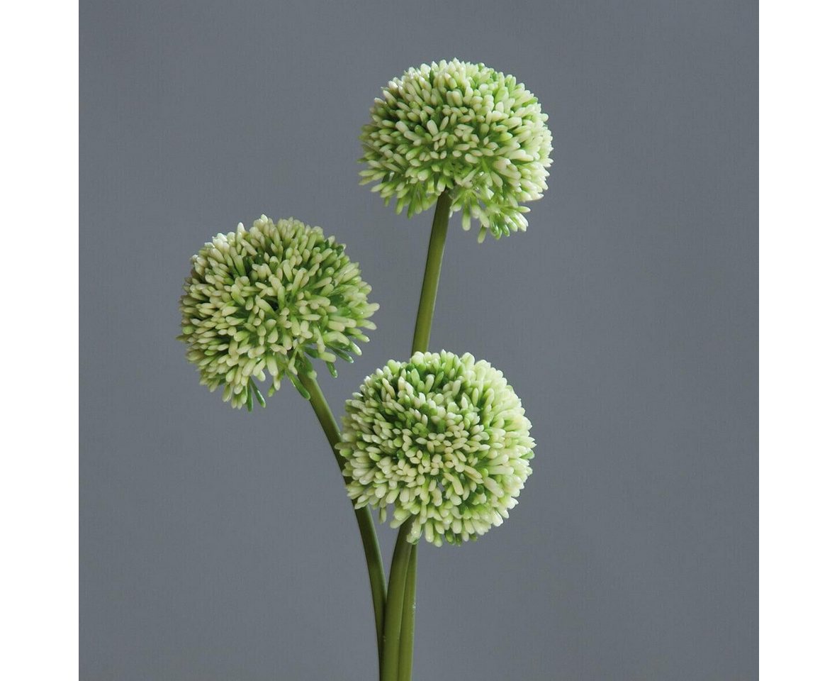 Kunstpflanze Kunststoff Allium "Judi" L=46 cm creme 3 Dolden, Annimuck von Annimuck