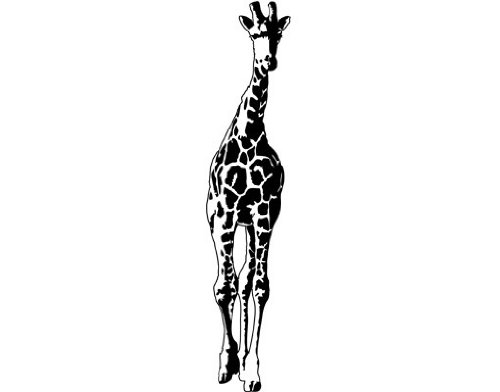 Apalis Fensterfolie Glasdekor Fenstertattoo Giraffe Glas-Aufkleber Frosted 170 x 37cm von Apalis