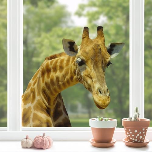 Fenstersticker No.21 Neugierige Giraffe Tiere Giraffe Afrika Zoo gefleckt Tiere Fenstersticker Fensterfolie Fenstertattoo Fensterbild Fenster-Deko Fensteraufkleber Fensterdekoration Glas-Sticker Größe: 25cm x 30cm von Apalis