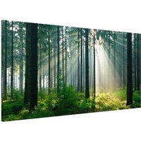 Magnettafel - Enlightened Forest | Memoboard Magnetisch Magnetboard Wandtafel Wandbilder von ApalisHOME