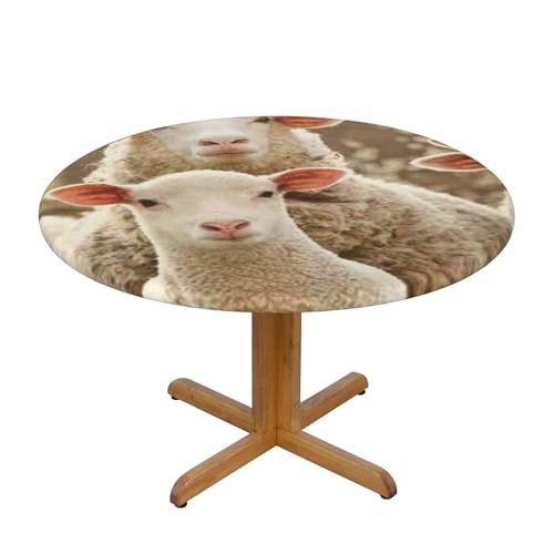 Apbdffjnf Tischdecke mit Schaf- und Lämmer-Motiv, abwischbar, knitterfrei, Polyester, runde Tischdecke für Esstisch, Größe M von Apbdffjnf