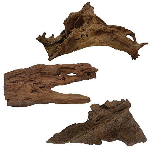 AquaOne Mangrovenwurzel Gr.XL 1 Stück 70-80 cm Aquarium Mangrove Holz Natur Aquascaping Dekoration Landschaft Natur Echtholz Wurzel von AquaOne