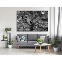 1000 Jahre Alte Engels-Eiche Baum Leinwanddruck, Schwarz-Weiß-Leinwand, Kontrast B & W Foto, Eiche Wandkunst von ArtTeamCanvas