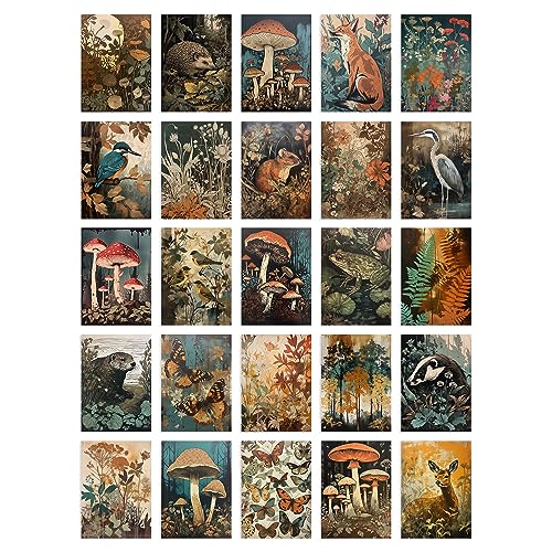 Artery8 50 Pcs Earthy Wild Nature Rustic Aesthetic Collage Kit Wall Art Prints A6 Set Pack 14.8 x 10.5 cm (5.8 x 4.1) Fungi Flowers Trees Botanical Room Decor Poster von Artery8