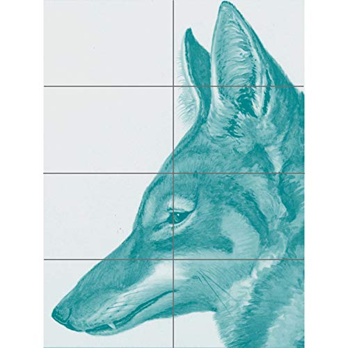 Artery8 Abbysinian Wolf Illustration XL Giant Panel Poster (8 Sections) von Artery8