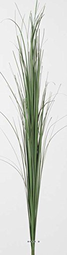 Künstliche Isolepsis – Gras Kunstpflanze Grasbüschel grün H 90 cm wunderschöne Gras von Artificielles