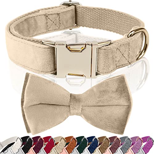 Asvin Hundehalsband Samtige, mit Abnehmbarer Hunde Fliege, Weich und Bequem Hunde Halsband, Mehrfarbig Samtige Hundehalsband, für Hochzeiten, Geburtstage, Partys usw von Asvin