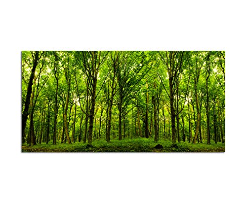 Augenblicke Wandbilder 120x60cm - Fotodruck auf Leinwand und Rahmen Wald Bäume Natur Sonnenstrahlen - Leinwandbild auf Keilrahmen modern stilvoll - Bilder und Dekoration von Augenblicke Wandbilder