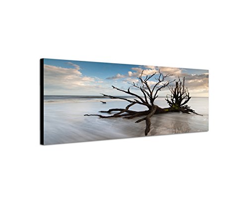 Augenblicke Wandbilder Leinwandbild als Panorama in 150x50cm Baum Geäst Nebel Wolken Himmel von Augenblicke Wandbilder