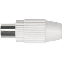 Axing CKS 1-00 Koax-Stecker Anschlüsse: Koax-Stecker IEC Kabel-Durchmesser: 6.8mm von Axing