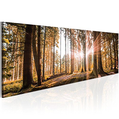 murando Acrylglasbild Landschaft 120x40 cm 1 Teilig Wandbild auf Acryl Glasbilder Kunstdruck Moderne Acrylglas Platte Wanddekoration Geschenke Heimdekoration Glasbild Wald Bäume Natur c-B-0077-k-d von B&D XXL