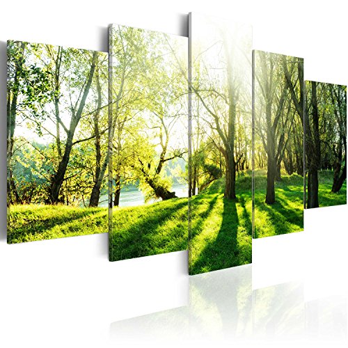 murando Acrylglasbild Natur 100x50 cm 5 Teilig Wandbild auf Acryl Glasbilder Kunstdruck Moderne Acrylglas Platte Wanddekoration Geschenke Heimdekoration Glasbild Landschaft Park Bäume c-B-0030-k-n von B&D XXL