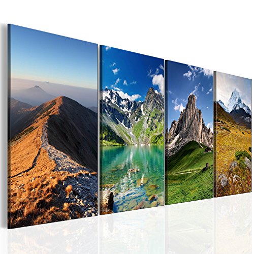 murando - Akustikbild Landschaft Bilder Akustikschaum Hochleistungsschallabsorber Schallschutz Leinwand 4 tlg Wandbild Raumakustik Schalldämmung - Gebirgskette Natur 030212-71 von B&D XXL