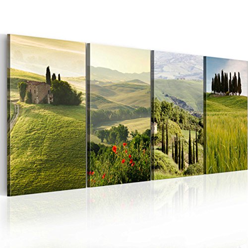 murando - Akustikbild Landschaft Bilder Akustikschaum Hochleistungsschallabsorber Schallschutz Leinwand 4 tlg Wandbild Raumakustik Schalldämmung - Natur Toskana 030213-25 von B&D XXL