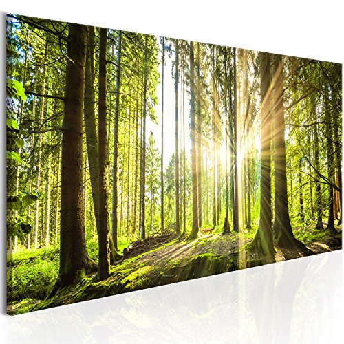 murando - Akustikbild Wald 120x40 cm 1 tlg Bilder Akustikschaum Schallschutz Kunst Akustikpaneele Wandpaneele Schalldämmung Wandbild Schallabsorber Waldlandschaft Natur Panorama c-B-0077-b-b von B&D XXL