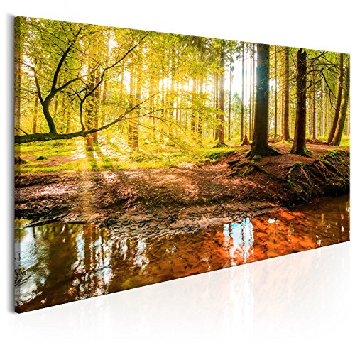 murando Akustikbild Wald 120x60 cm Bilder Akustikschaum Hochleistungsschallabsorber Schallschutz Leinwand 1 tlg Wandbild Raumakustik Schalldämmung - Baum Natur c-B-0174-b-a von B&D XXL