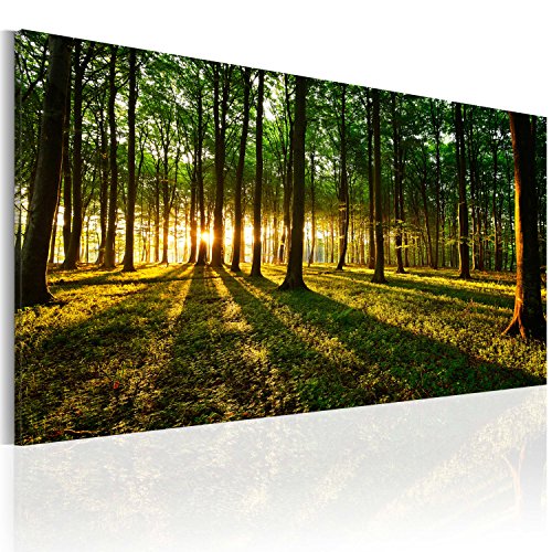 murando Akustikbild Wald 120x60 cm Bilder Akustikschaum Hochleistungsschallabsorber Schallschutz Leinwand 1 tlg Wandbild Raumakustik Schalldämmung - Natur Baum grün c-B-0057-b-a von B&D XXL