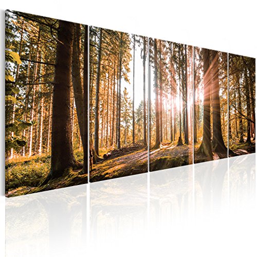 murando Akustikbild Wald Bilder Akustikschaum Hochleistungsschallabsorber Schallschutz Leinwand 5 tlg Wandbild Raumakustik Schalldämmung Waldlandschaft Natur Baum c-C-0177-b-p von B&D XXL