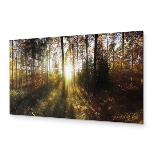 murando Akustikbild Wald Bilder Akustikschaum Hochleistungsschallabsorber Schallschutz Leinwand 1 tlg Wandbild Raumakustik Schalldämmung Waldlandschaft Natur Panorama c-B-0173-b-a von B&D XXL