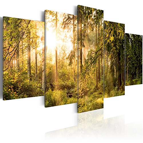 murando - Bilder 150x75 cm Vlies Leinwandbild 5 tlg Kunstdruck modern Wandbilder XXL Wanddekoration Design Wand Bild - Landschaft Wald Natur Bäume c-C-0033-b-o von B&D XXL