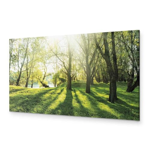 murando - Wandbilder XXL Landschaft 120x40 cm 1 tlg Wand Deko Leinwand Bilder Groß Wanddeko Wohnzimmer Schlafzimmer Kunstdrucke Panoramabild - Natur Bäume Wald Sonnenstrahlen c-B-0053-b-a von B&D XXL