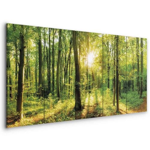 murando - Wandbilder XXL Wald 100x40 cm 5 tlg Wand Deko Leinwand Bilder Groß Wanddeko Wohnzimmer Schlafzimmer Kunstdrucke Panoramabild - Waldlandschaft Natur Bäume Sonnenaufgang c-B-0184-b-m von B&D XXL