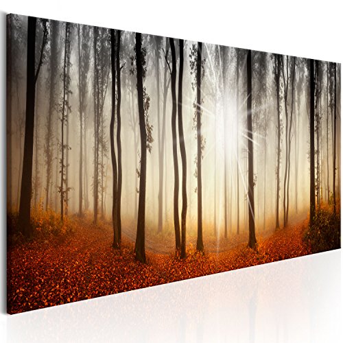 murando - Bilder Wald 120x40 cm Vlies Leinwandbild 1 tlg Kunstdruck modern Wandbilder XXL Wanddekoration Design Wand Bild Panoramabild - Waldlandschaft Natur Panorama Baum Herbst Nebel von B&D XXL