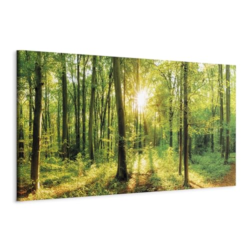 murando - Wandbilder XXL Wald 120x40 cm 1 tlg Wand Deko Leinwand Bilder Groß Wanddeko Wohnzimmer Schlafzimmer Kunstdrucke Panoramabild - Waldlandschaft Natur Panorama Baum c-B-0184-b-a von B&D XXL