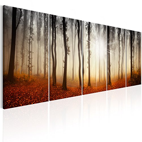 murando - Bilder Wald 150x60 cm Vlies Leinwandbild 5 tlg Kunstdruck modern Wandbilder XXL Wanddekoration Design Wand Bild - Waldlandschaft Natur Panorama Baum c-B-0286-b-m von B&D XXL