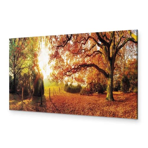 murando - Bilder Landschaft Vlies Leinwandbild 1 tlg Kunstdruck modern Wandbilder XXL Wanddekoration Design Wand Bild Panoramabild - Natur Bäume Park c-B-0053-b-a (#07, 90x30 cm) von B&D XXL