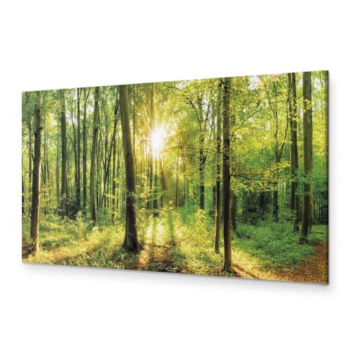 murando - Wandbilder XXL Wald 90x30 cm 1 tlg Wand Deko Leinwand Bilder Groß Wanddeko Wohnzimmer Schlafzimmer Kunstdrucke Panoramabild - Waldlandschaft Natur Panorama Baum c-B-0184-b-a von B&D XXL