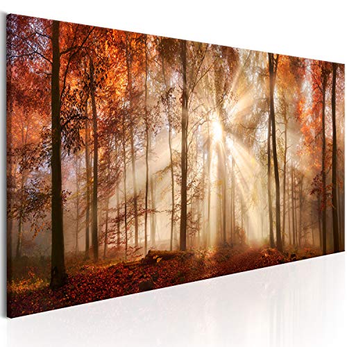 murando - Bilder Wald 90x30 cm Vlies Leinwandbild 1 tlg Kunstdruck modern Wandbilder XXL Wanddekoration Design Wand Bild Panoramabild - Waldlandschaft Natur Panorama Baum von B&D XXL