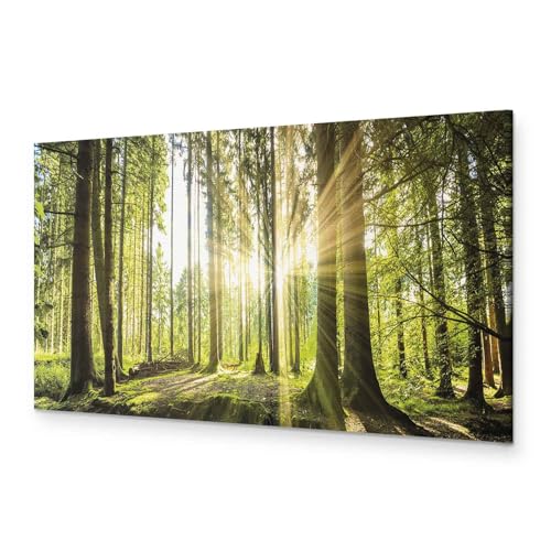 murando - Handart Wald Kunstdruck auf Leinwand 135x45 cm 1 tlg Groß Kunstbilder wie Handgemalte Wandbilder XXL mit Acrylgel beschichtet Wand Bilder mit Struktur Natur Bäume c-B-0077-b-b von B&D XXL