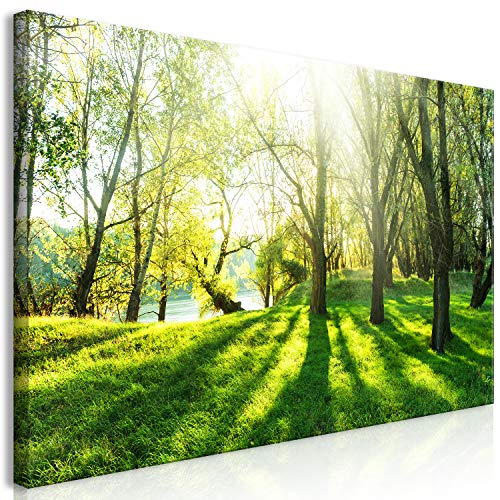 murando Wandbild Mega XXXL BäumeEinteiliger XXL-Format Kunstdruck zur Selbstmontage Leinwandbilder moderne Bilder DIY Wanddekoration Wohnung Deko Natur c-B-0053-ak-e von B&D XXL