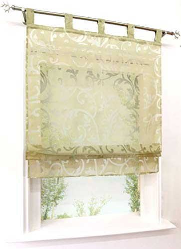 Voile Raffrollo mit Schlaufen Rollos Ausbrenner Pteris Gardinen Transparent Vorhang (BxH 100x140cm, grün) von BAILEY JO