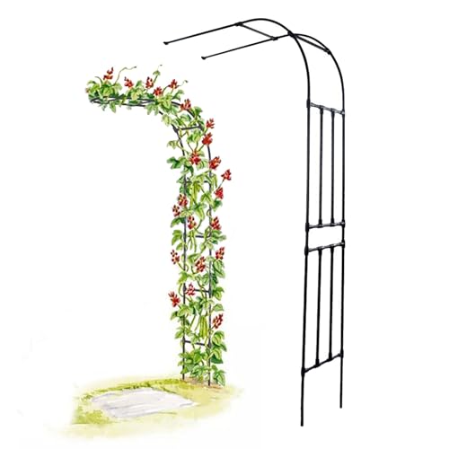 BEEGMA Halbbogen Wandrosenbogen Metall Gartenbogen Rankhilfe Kletterpflanzen Halb Rankhilfe Rankgitter Torbogen Pergola Breite 60-300cm Hoch 240cm (Size : W180xH240cm/W5.9xH7.9ft) von BEEGMA