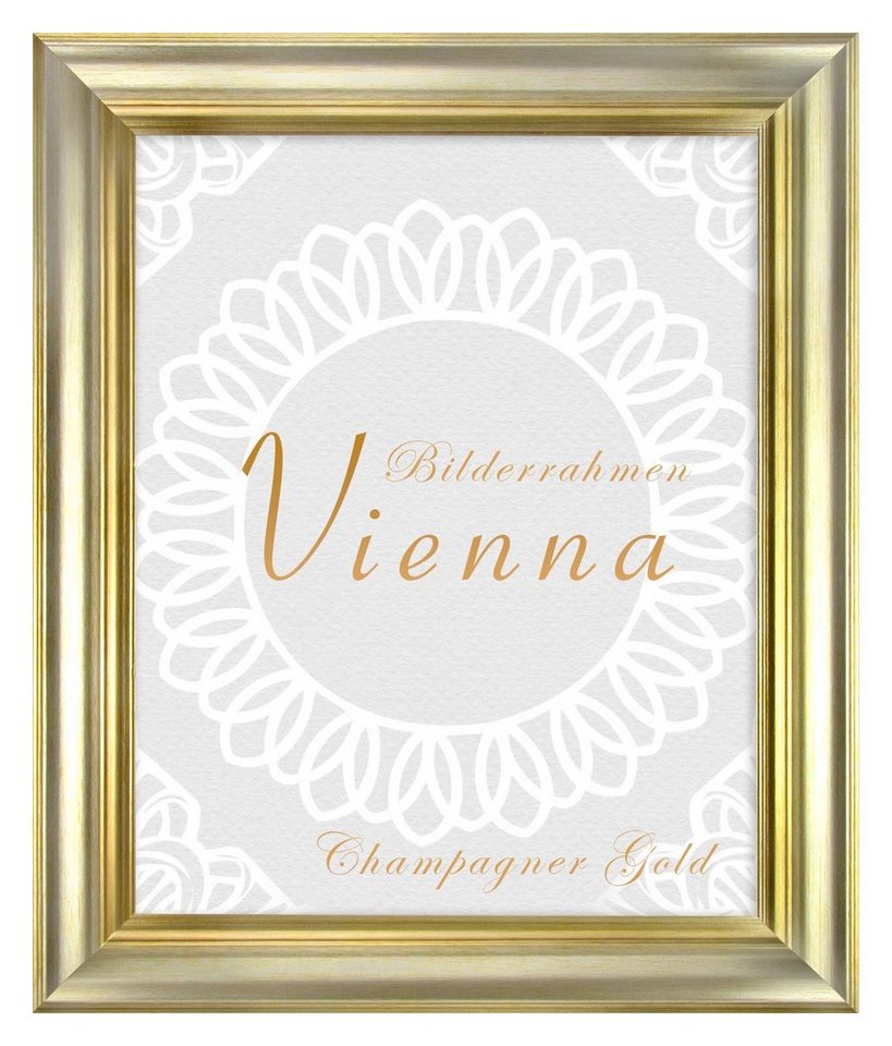 BIRAPA Einzelrahmen Bilderrahmen Vienna, (1 Stück), 42x59,4 cm (DIN A2), Champagner Gold, Holz von BIRAPA