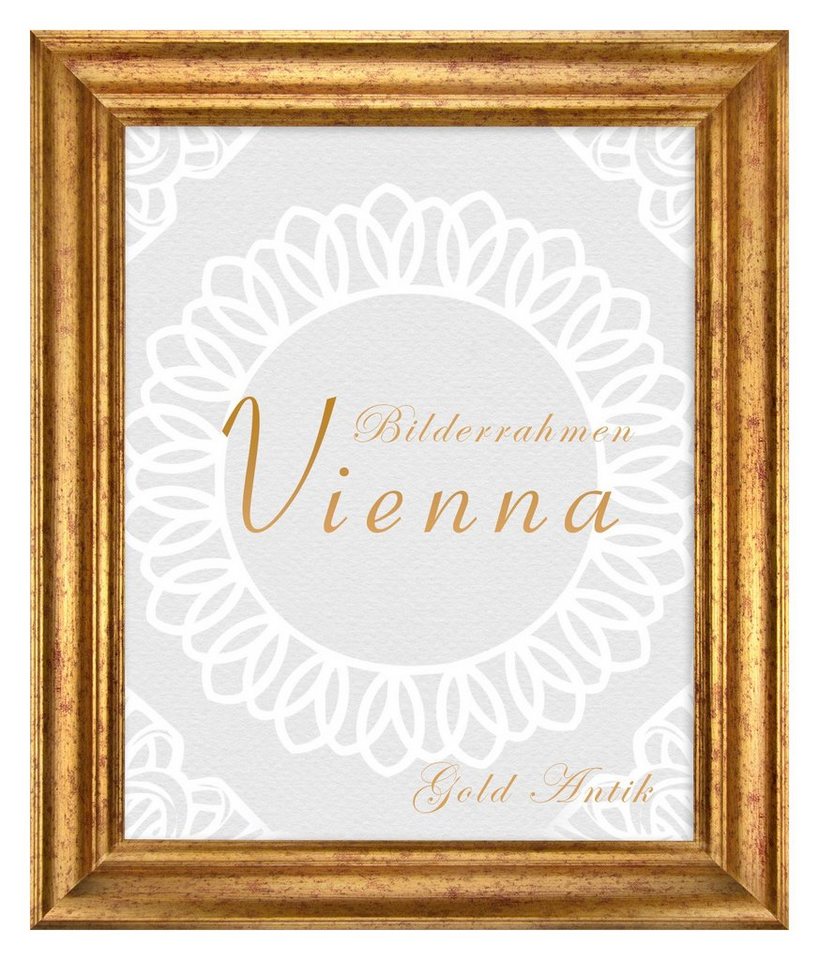 BIRAPA Einzelrahmen Bilderrahmen Vienna, (1 Stück), 50x60 cm, Gold Antik, Holz von BIRAPA