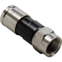 BKL Electronic 0403148 F-Stecker Kompression Anschlüsse: F-Stecker Kabel-Durchmesser: 7.4mm von BKL Electronic