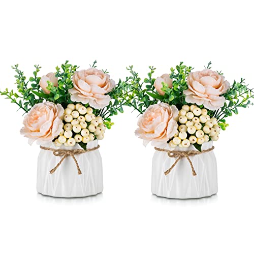 BLOSMON Kunstblumen im Topf Deko: 2 Stück Mini Champagner Künstliche Rosen Künstlich Blumen mit Vase für Tischdeko Wohnzimmer Zuhause Dekoration Fake Blume Pflanzen Schlafzimmer Hochzeit Party Decor von BLOSMON