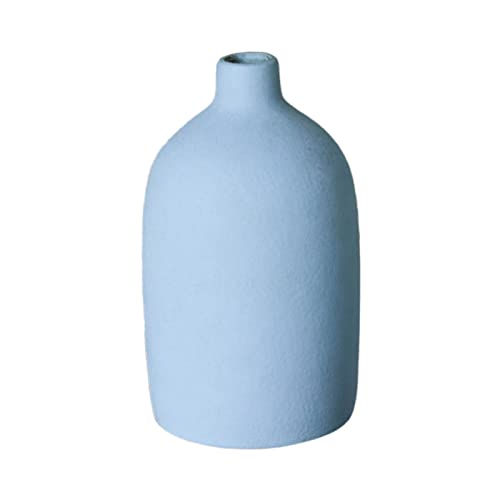 BLSYHDH Keramikvase für Heimdekoration, Hydrokultur-Pflanzenvase, Moderne Trockenblumenvase, Blumenarrangement-Dekoration für Esstisch, Party, Zimmer, Büro, Bücherregal,(#light blue) von BLSYHDH