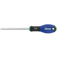 Schraubendreher Bost Klinge Torx Expert - T25 x 100 mm - 624720 von BOST